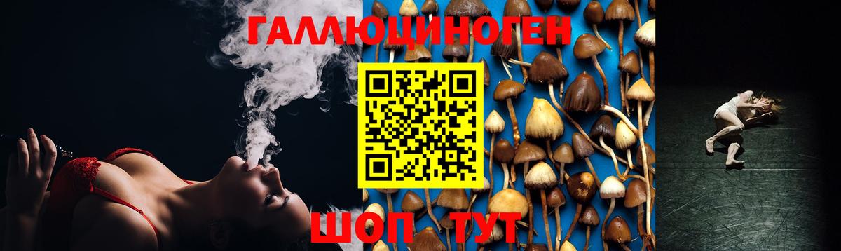 Галлюциногенные грибы MAGIC MUSHROOMS  Вход с VPN  Псилоцибиновые грибы мицелий  Будённовск 