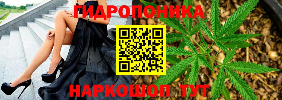 Канабис план  Вход с VPN  Марихуана LSD WEED  Будённовск  Бошки марихуана Ganja  Марихуана марихуана 